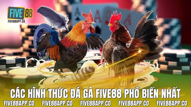 Các hình thức đá gà Five88 phổ biến nhất